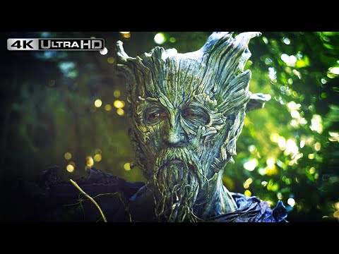 The Green Knight 4K HDR | End Scene
