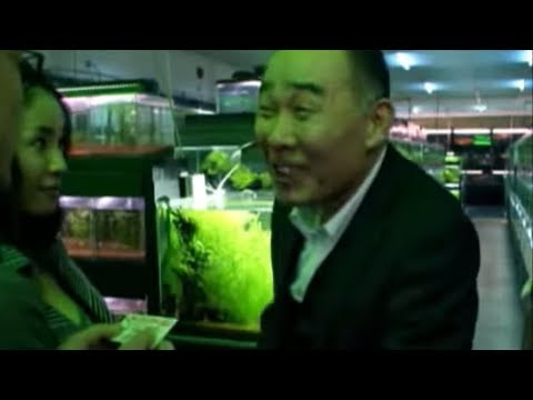 冷たい熱帯魚 考察とネタバレ あらすじ 評価 感想 解説 レビュー